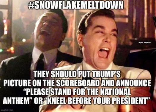 snowflake meltdown 20200909 01.jpg